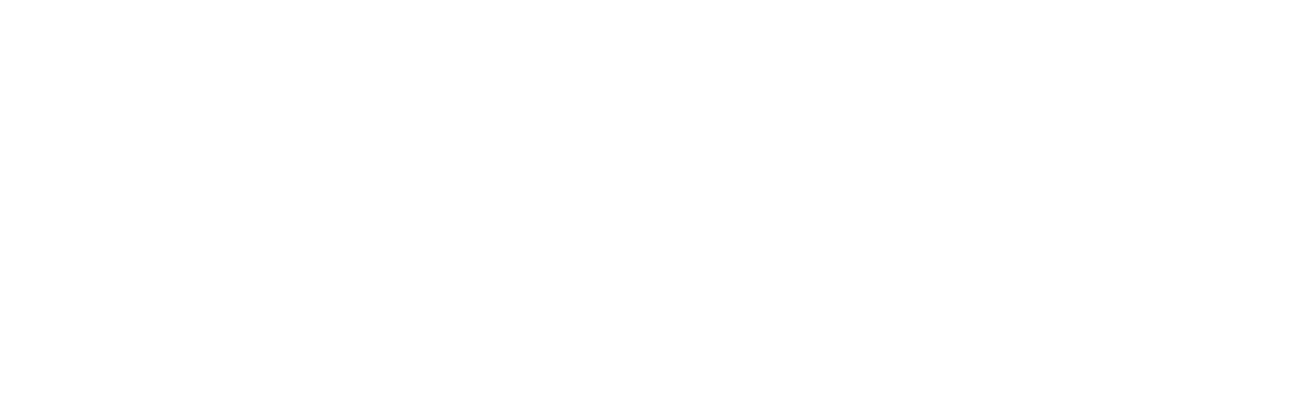 Sturz & Hesse Schriftzug weiß